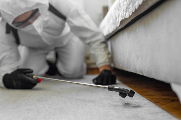 Professional Bed Bug Control technician working in Fairview, NY